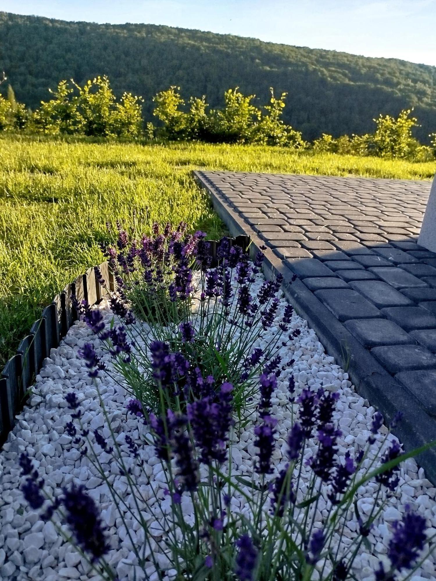 Lawendowy Klimat Villa Bobrka Exteriör bild